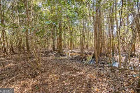 0 Ralph Rahn Rd, Rincon, GA 31326 photo 9