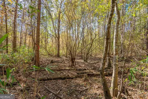 0 Ralph Rahn Rd, Rincon, GA 31326 photo 16