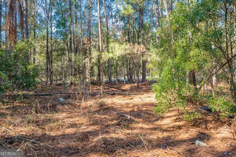 0 Ralph Rahn Rd, Rincon, GA 31326 photo 21