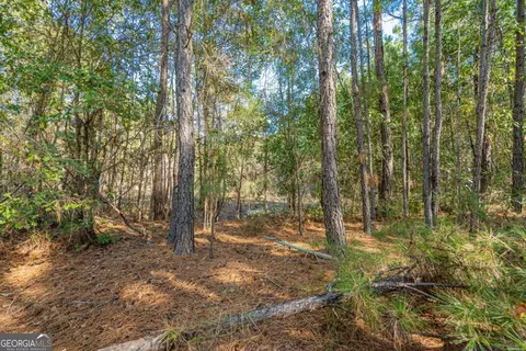 0 Ralph Rahn Rd, Rincon, GA 31326 photo 3