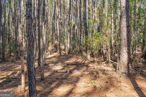 0 Ralph Rahn Rd, Rincon, GA 31326 photo 12