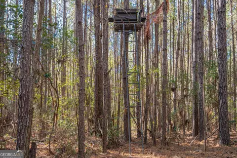 0 Ralph Rahn Rd, Rincon, GA 31326 photo 20