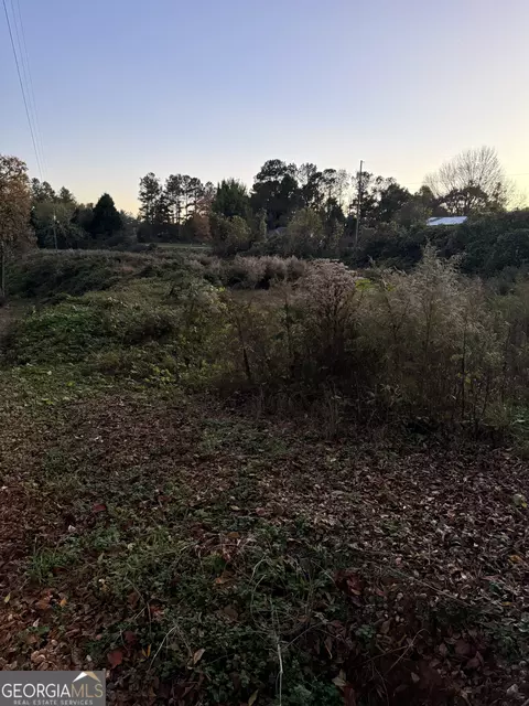 300 Nancy Town Rd, Mount Airy, GA 30563
