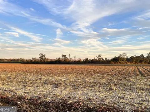 0 W P Clifton Rd, Brooklet, GA 30415