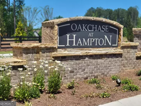 138 Oakchase Park Ln, Hampton, GA 30228 photo 39