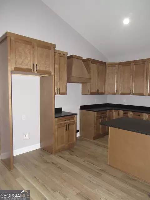 2799 Jackson Bridge Rd, Carnesville, GA 30521 photo 10