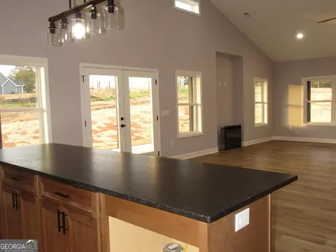 2799 Jackson Bridge Rd, Carnesville, GA 30521 photo 15