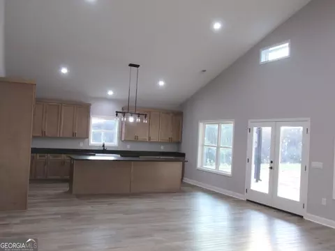 2799 Jackson Bridge Rd, Carnesville, GA 30521 photo 9