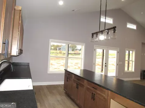 2799 Jackson Bridge Rd, Carnesville, GA 30521 photo 16