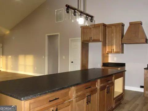 2799 Jackson Bridge Rd, Carnesville, GA 30521 photo 13