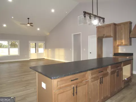 2799 Jackson Bridge Rd, Carnesville, GA 30521 photo 14