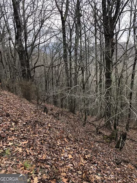 0 Brown Mountain Rd, Macon, NC 28775 photo 3