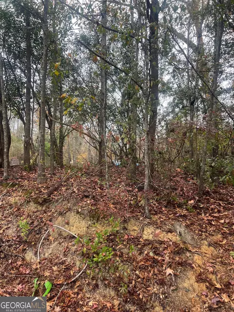 0 Evergreen Cir, Ivey, GA 31031