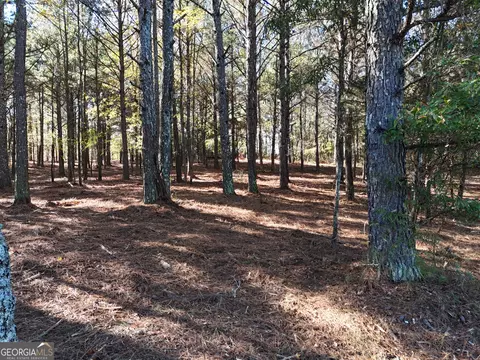 0 Bullock Bridge Rd, Monroe, GA 30656 photo 6