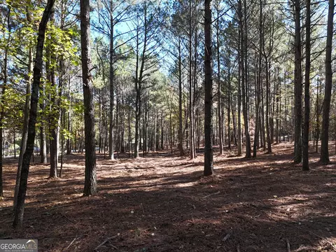 0 Bullock Bridge Rd, Monroe, GA 30656 photo 4