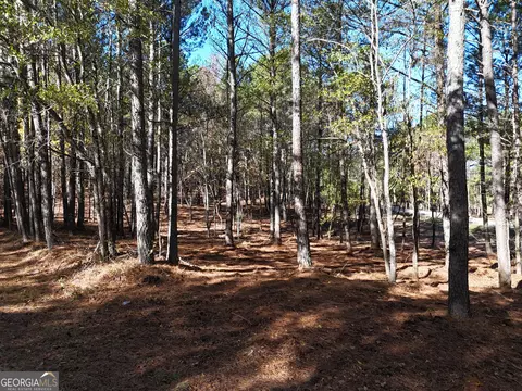 0 Bullock Bridge Rd, Monroe, GA 30656 photo 11