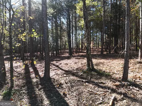 0 Bullock Bridge Rd, Monroe, GA 30656 photo 9