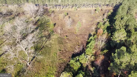 10 N County Line Rd, Elko, GA 31025