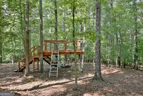 Other - 115 Laurel Forest Dr, Tyrone, GA 30290 photo 24 of 24