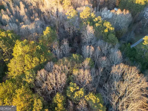 3330 Highway 3 N, Hampton, GA 30228 photo 6