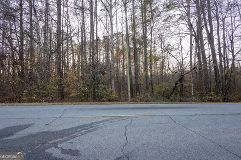 3330 Highway 3 N, Hampton, GA 30228 photo 8