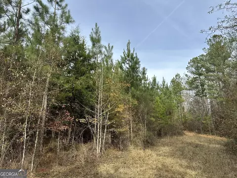 00202 Jordan Rd, Waverly Hall, GA 31831