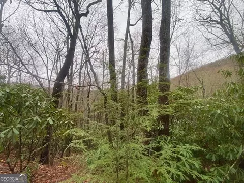 lot17 Ridgepole Dr, Sky Valley, GA 30537