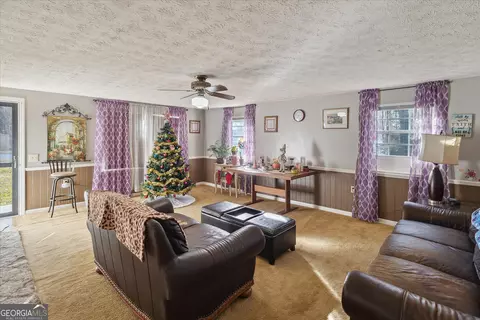 12369 Henry St, Claxton, GA 30417 photo 5
