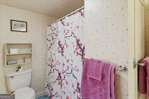 12369 Henry St, Claxton, GA 30417 photo 20