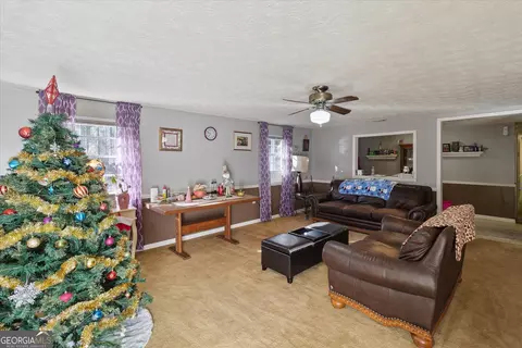 12369 Henry St, Claxton, GA 30417 photo 4