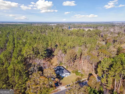 12369 Henry St, Claxton, GA 30417 photo 46