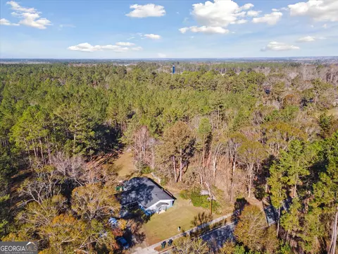 12369 Henry St, Claxton, GA 30417 photo 45