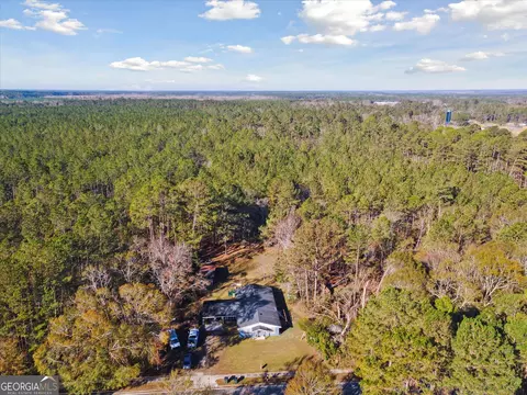 12369 Henry St, Claxton, GA 30417 photo 47