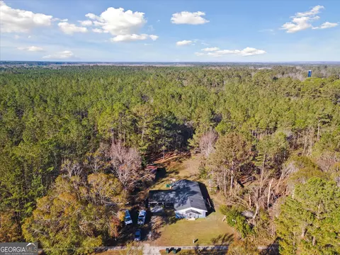 12369 Henry St, Claxton, GA 30417 photo 44