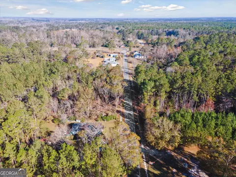 12369 Henry St, Claxton, GA 30417 photo 57