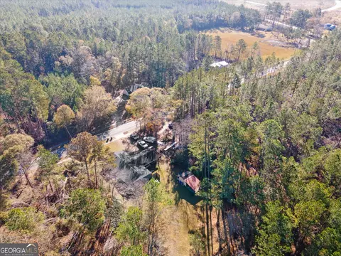 12369 Henry St, Claxton, GA 30417 photo 51
