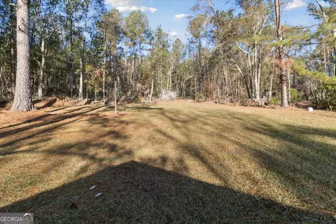 12369 Henry St, Claxton, GA 30417 photo 38