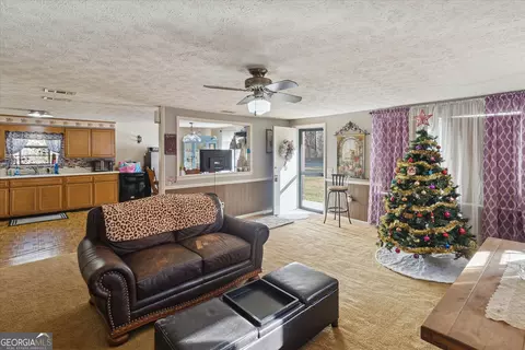 12369 Henry St, Claxton, GA 30417 photo 6
