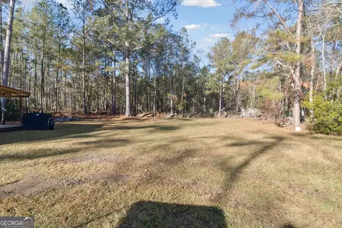 12369 Henry St, Claxton, GA 30417 photo 33