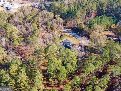 12369 Henry St, Claxton, GA 30417 photo 55
