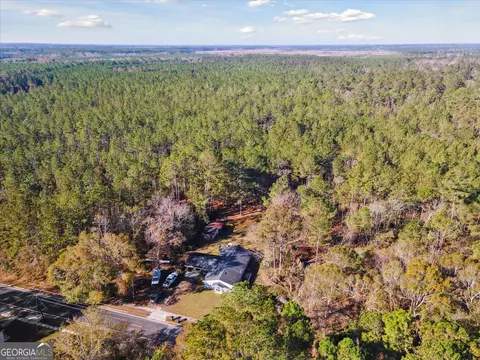 12369 Henry St, Claxton, GA 30417 photo 48