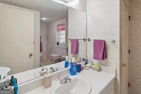 12369 Henry St, Claxton, GA 30417 photo 19