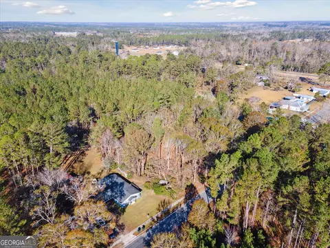12369 Henry St, Claxton, GA 30417 photo 43