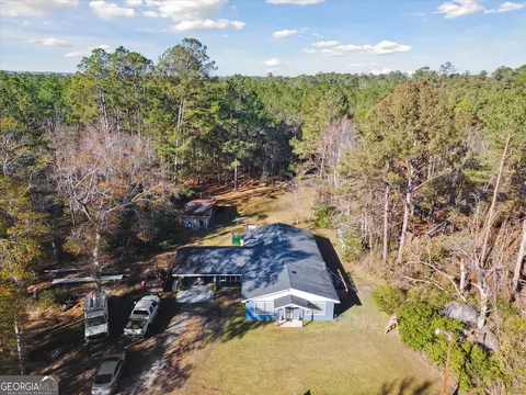 12369 Henry St, Claxton, GA 30417 photo 41