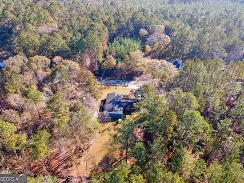 12369 Henry St, Claxton, GA 30417 photo 52