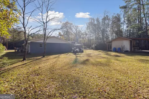 12369 Henry St, Claxton, GA 30417 photo 34
