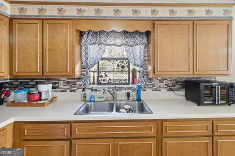 12369 Henry St, Claxton, GA 30417 photo 10