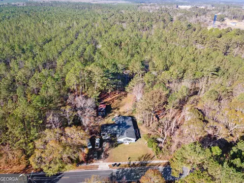 12369 Henry St, Claxton, GA 30417 photo 42