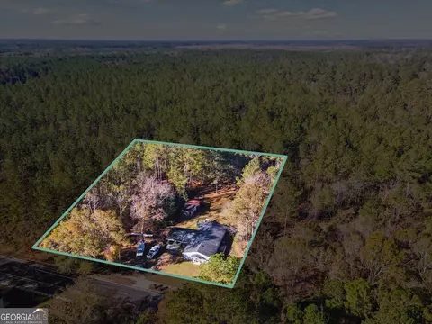 12369 Henry St, Claxton, GA 30417 photo 59