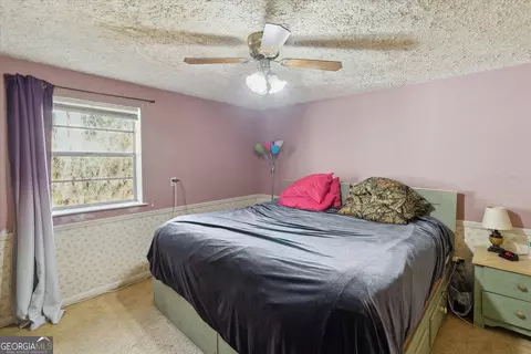 12369 Henry St, Claxton, GA 30417 photo 21